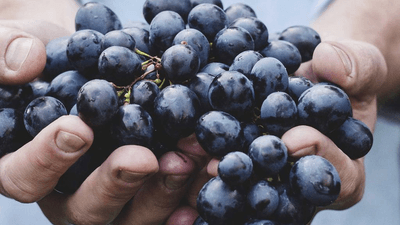 Exercise - professional stock photography