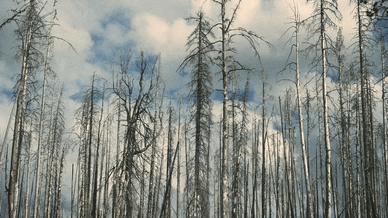 Exercise - professional stock photography