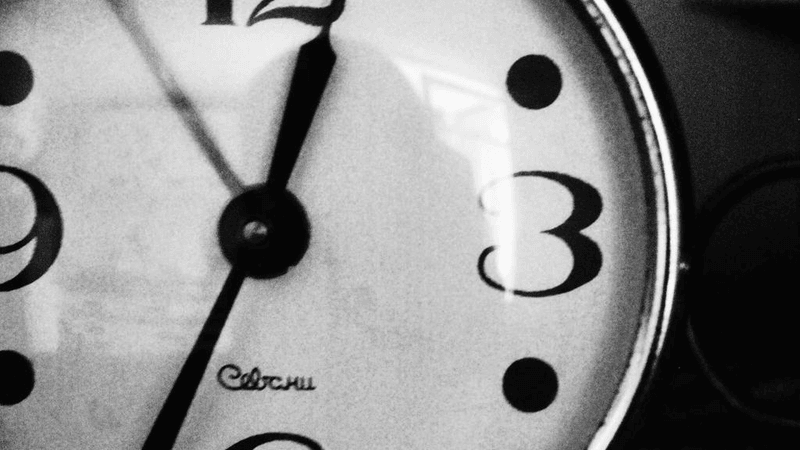 Fruits - professional stock photography