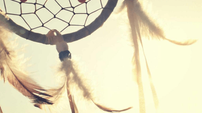 Fruits - professional stock photography