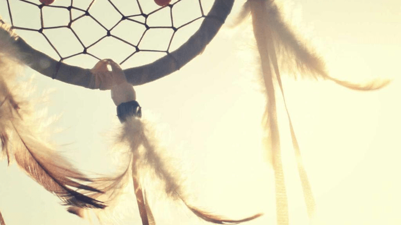 Fruits - professional stock photography