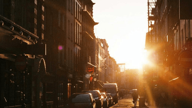 Fruits - professional stock photography