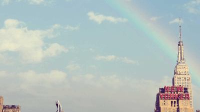 Fruits - professional stock photography