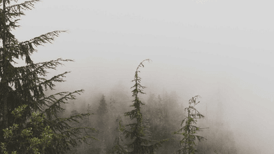 Mindfulness - professional stock photography