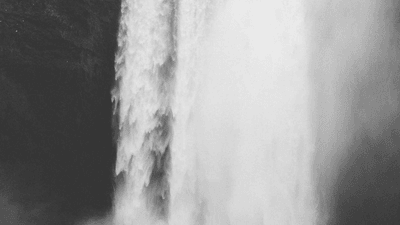 Nature Walk - professional stock photography