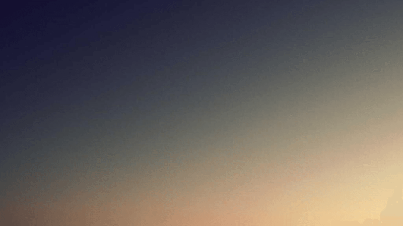 Nature Walk - professional stock photography