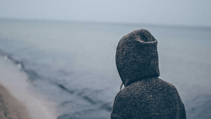 Nature Walk - professional stock photography