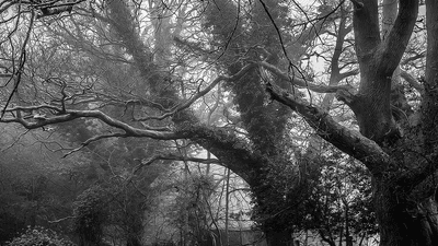 Running - professional stock photography