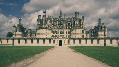 Salad - professional stock photography