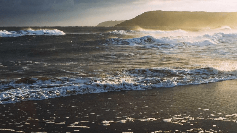 Salad - professional stock photography