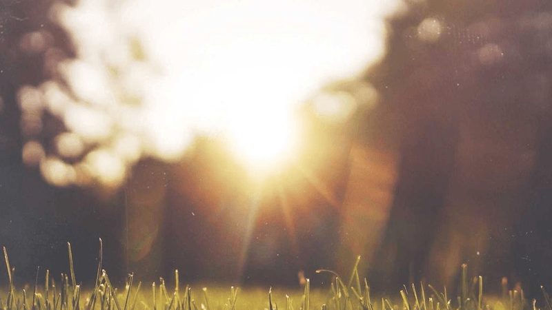 Sleep - professional stock photography