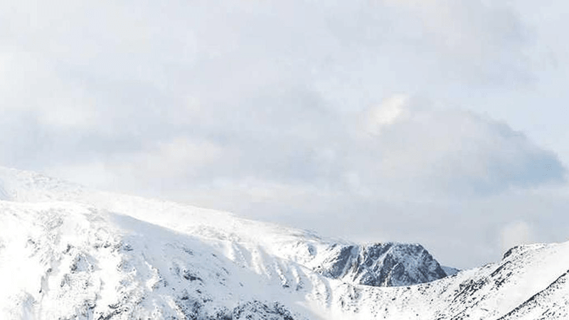 Vitamins - professional stock photography