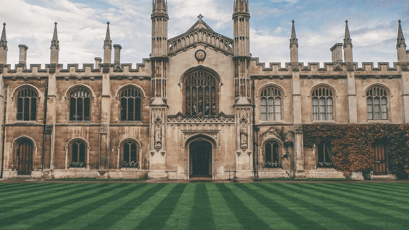 Vitamins - professional stock photography