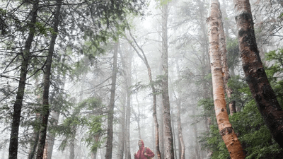 Water - professional stock photography