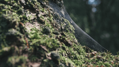 Wellness - professional stock photography